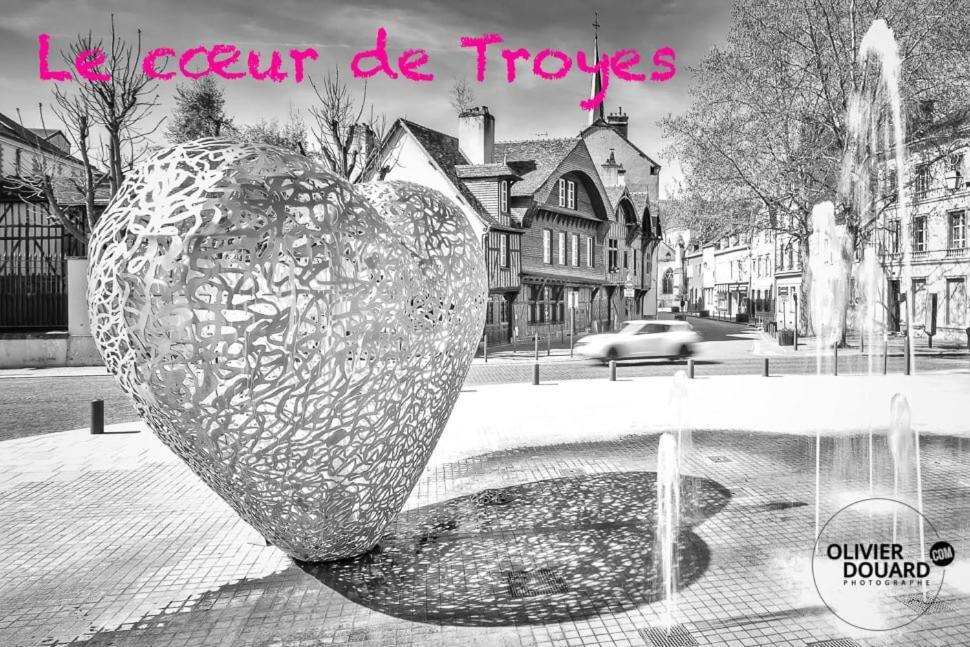 Le Mortier D'Or Duplex Hyper Centre Ville Troyes Extérieur photo
