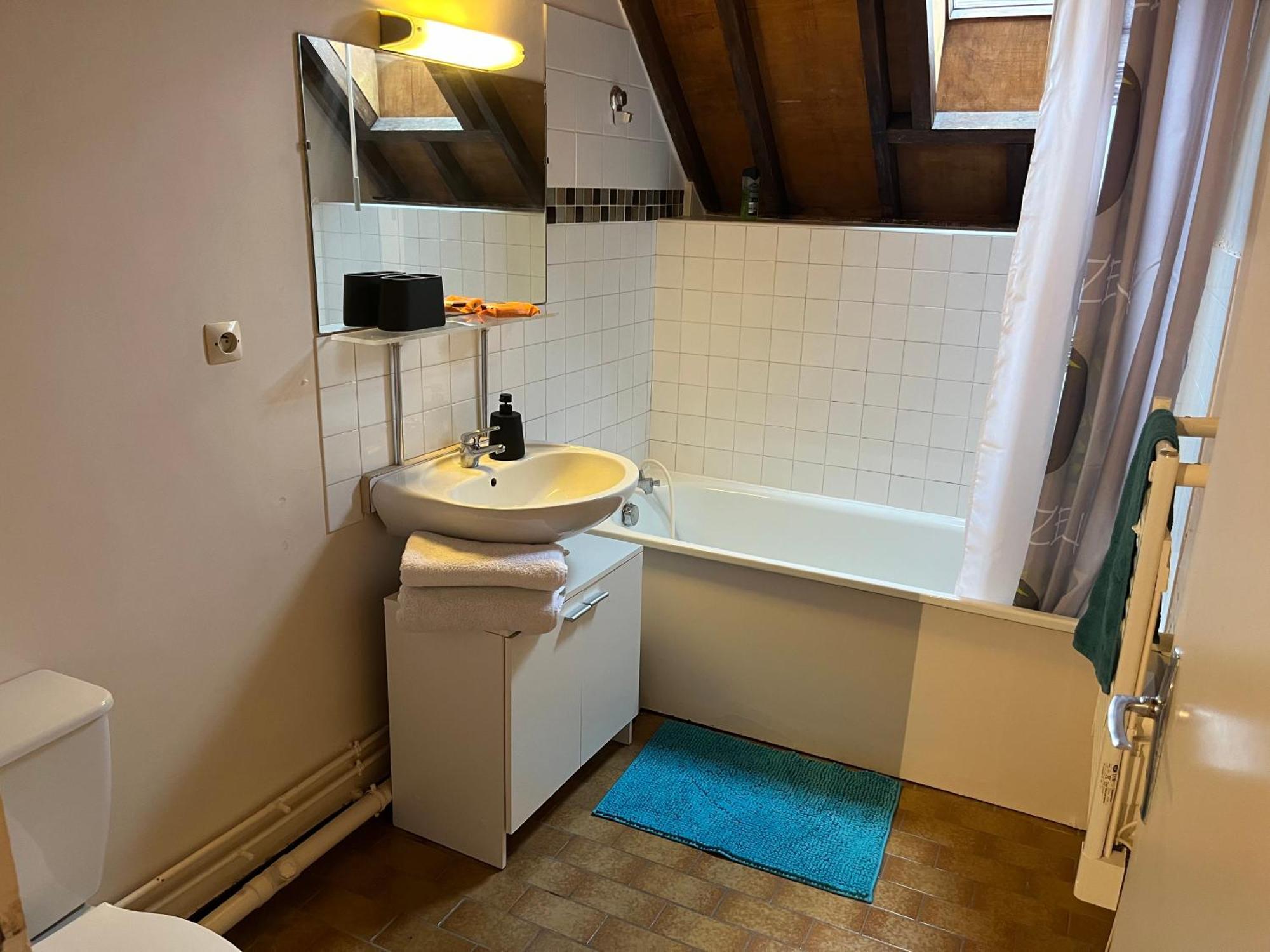 Le Mortier D'Or Duplex Hyper Centre Ville Troyes Extérieur photo
